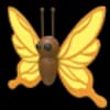 Yellow Butterfly