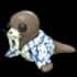 Summer Walrus