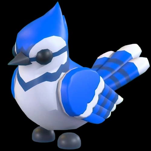 Blue Jay