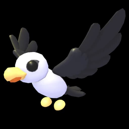 Pilot Gull