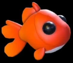 Goldfish