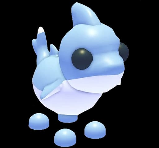 Shark Puppy