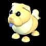 Golden Chow-Chow