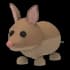 Bandicoot