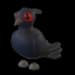 Black-Chested Pheasant