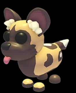 African Wild Dog