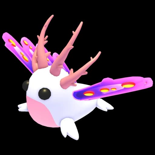 Sea Slug