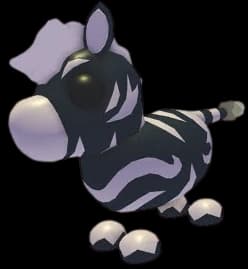 Ash Zebra
