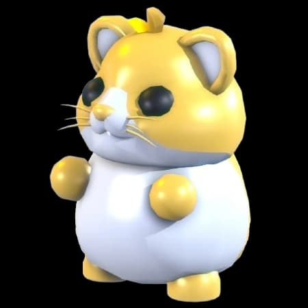 Golden Hamster
