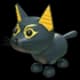 Abyssinian Cat