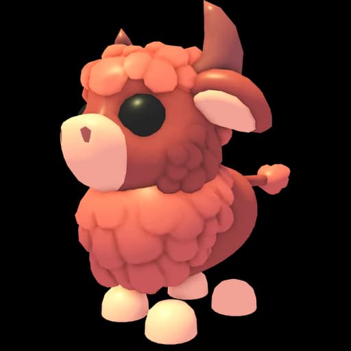 Angus Bull