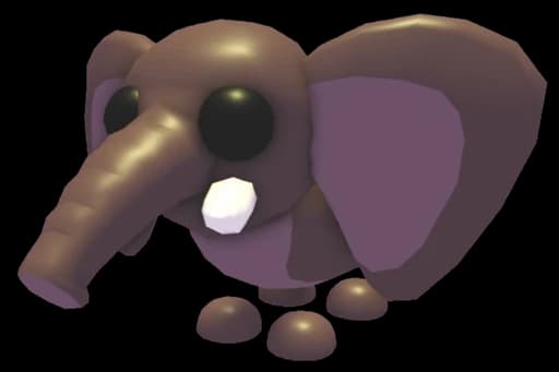 Bush Elephant