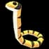 Yellow-lipped Sea Krait