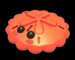 Red Sand Dollar