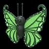 Green Butterfly
