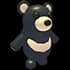 Black Moon Bear