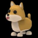 Shiba Inu