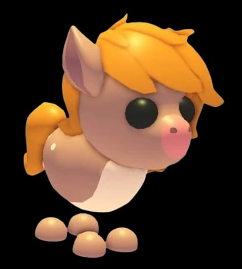 Show Pony