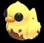 Dirty Ducky