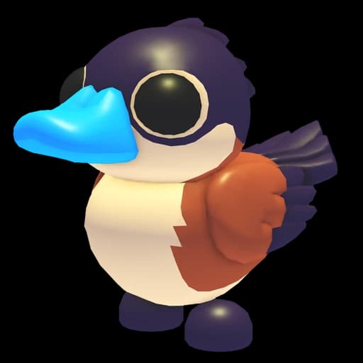 Ruddy Duck
