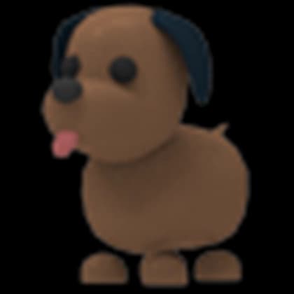 Chocolate Labrador