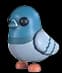 Rock Pigeon