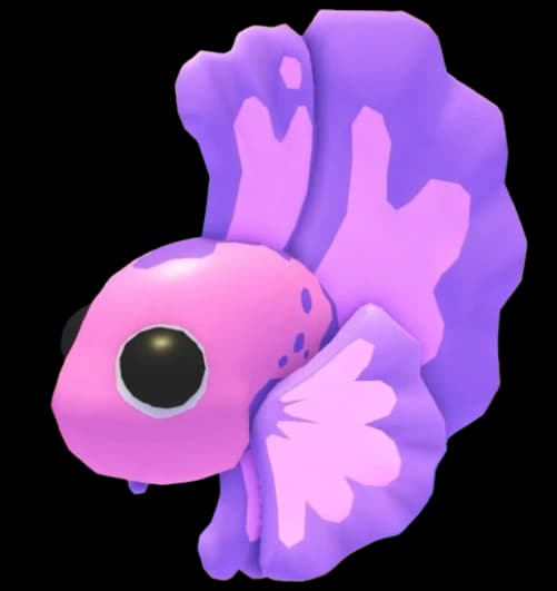 Pink Betta Fish