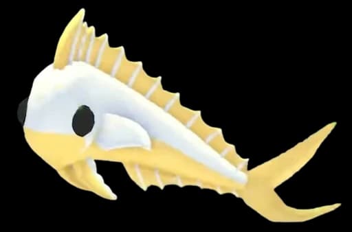 Gold Mahi Mahi