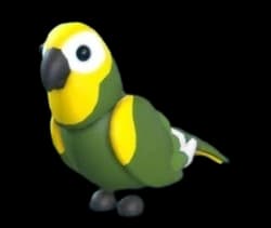 Green Amazon