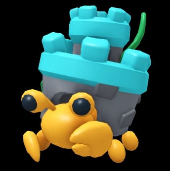 Castle Hermit Crab