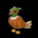 Brown-chested Pheasant