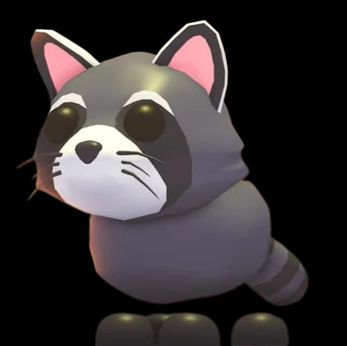 Raccoon