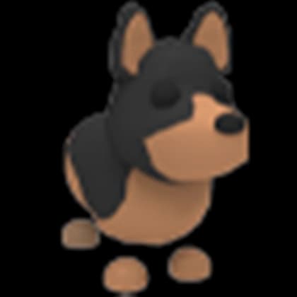 Australian Kelpie