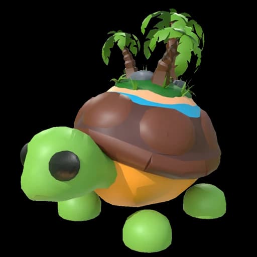 Tortuga De La Isla