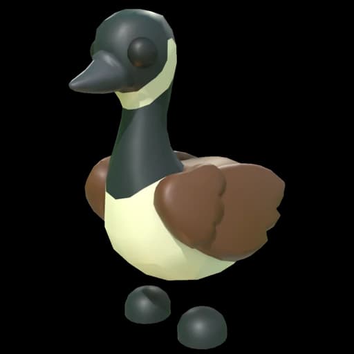 Canadian Goose