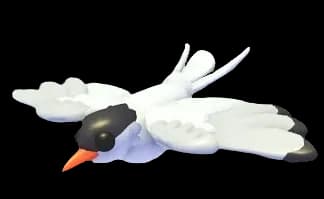 Arctic Tern