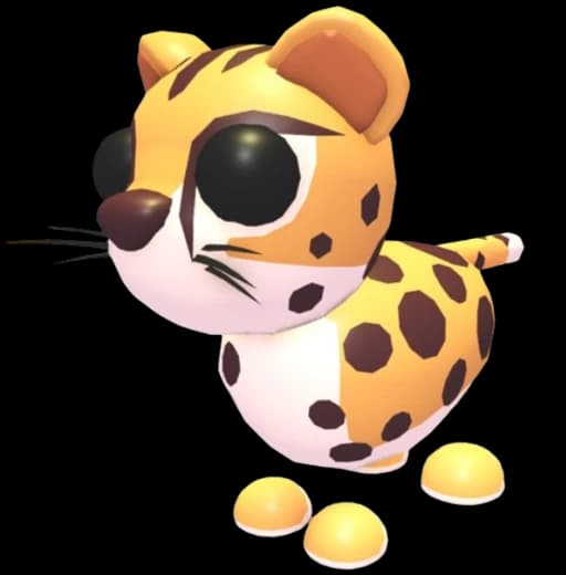 Cheetah