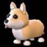 Corgi