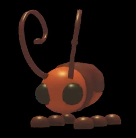 Cockroach