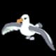 Albatross