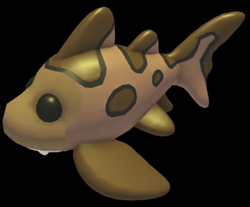 Leopard Shark