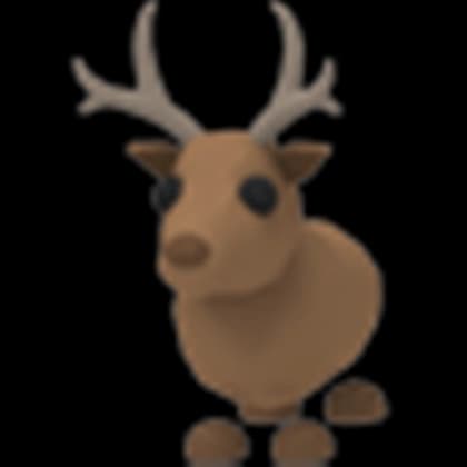 Reindeer