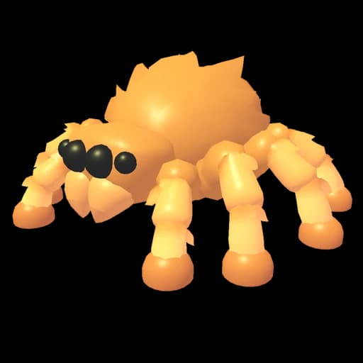 Jumping Spider