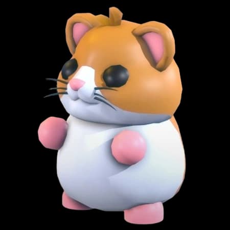 Hamster