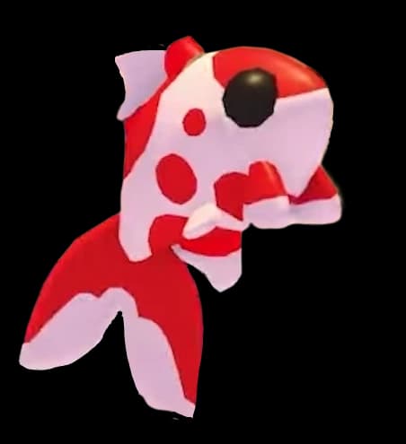 Koi Carp