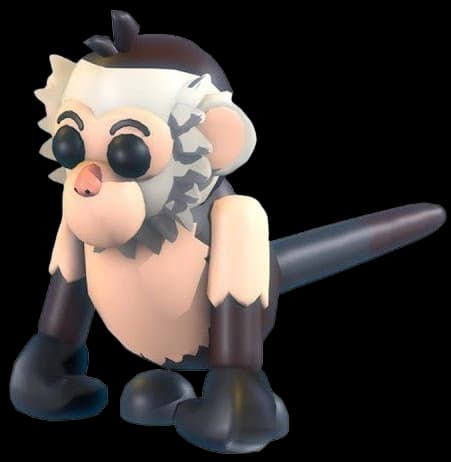 Capuchin Monkey