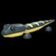 Salamander