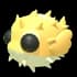 Puffer Fish