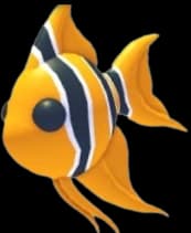 Angelfish