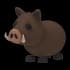 Wild Boar